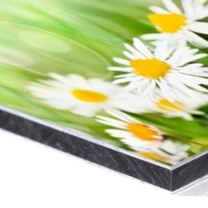 Printed Surfaces - Max Metal